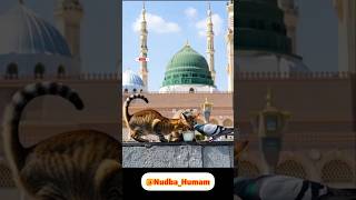 Download Lagu Alhamdulillah MP3