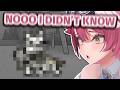 Raora Starts Panicking After Learning What "Humping" Means