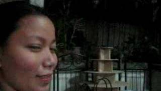 Roosevelt College (Aguinaldo, Batch 1997) 2