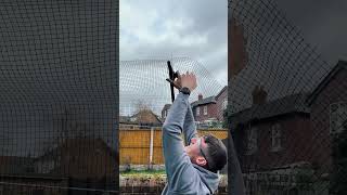 ✅ Cat-Proofing your Garden on a Low Wall or Low Fence! 😻 #cats #catproofgarden #catfencing ✅ Cat-Proofing your Garden on a Low Wall or Low Fence! 😻 #cats #catproofgarden #catfencing