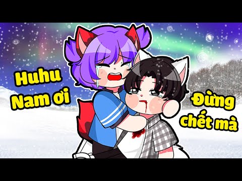 Video MÓN QUÀ CUỐI CÙNG CỦA NAM SÓI TUYẾT DÀNH TẶNG CHO SÓI... - youtube