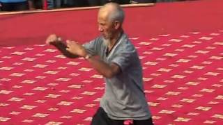 90 year old Hung Kuen Master Leung Daiyau performs the Snake guiding the crane