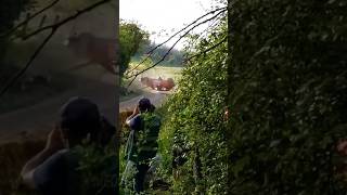 Rallye mouzon frézelles crash #rallycar #rallying #rally #rallye #offroad #crash