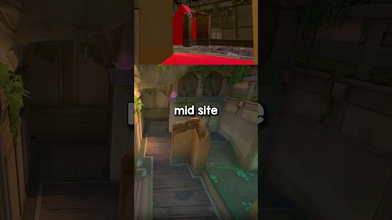 LOTUS CHANGES INCOMING! 🚨