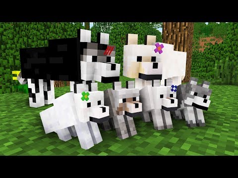 wolf-life-movie-|-cubic-minecraft-animations-|-all-episodes-+-bonus