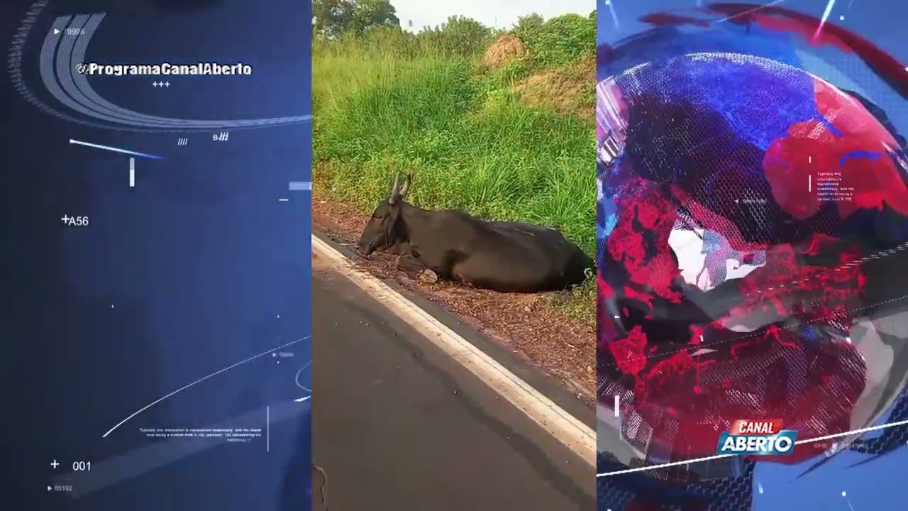 ACIDENTE NA MA 0-20 NO POVOADO SÃO JOSÉ DOS MAGALHÃES