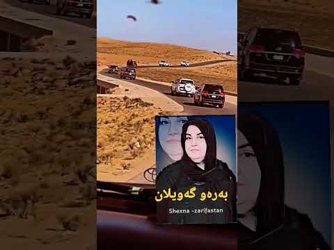 دایکە زریفستان بەرەو گەویلان
