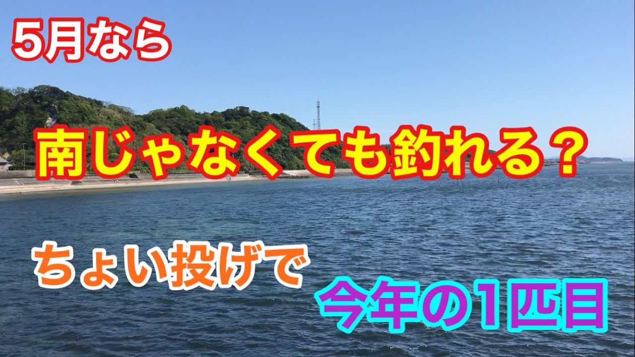 南じゃなくても釣れる？ちょい投げで今年の1匹目 知多半島 - YouTube