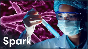 How Scientists Are Making A World Without Disease