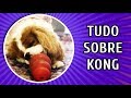 TUDO SOBRE KONG + COMO RECHEAR