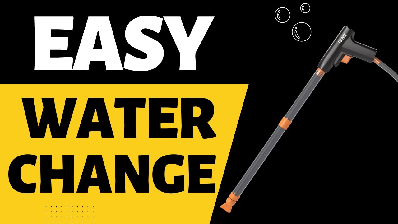 Fish tank water change made EASY