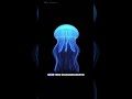 how ocean creature glow in deep l mystery slove 😱