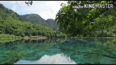 سورةالهمزة من القرآن الكريم للقارئء:يحيى حوى