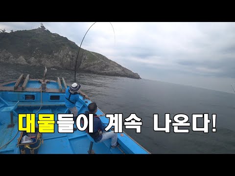 엄청난 대물들이 계속 나오는 <strong>낚시</strong> 시즌이 찾아왔습니다! - <strong>부산</strong> 다대포