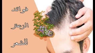 فوائد الزعتر وزيت الزعتر للشعر - الطب البديل وفوائد الاعشاب