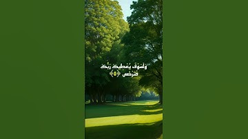 #القرآن_الكريم #سورة_الضحى #القارئ #عمر_هشام_العربي