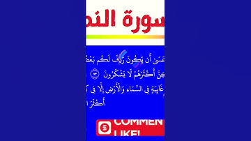 مقطع صغير من تلاوة مباركة من سورة النمل 🌺🌼#quran #قران_كريم #المصحف @Quran_321