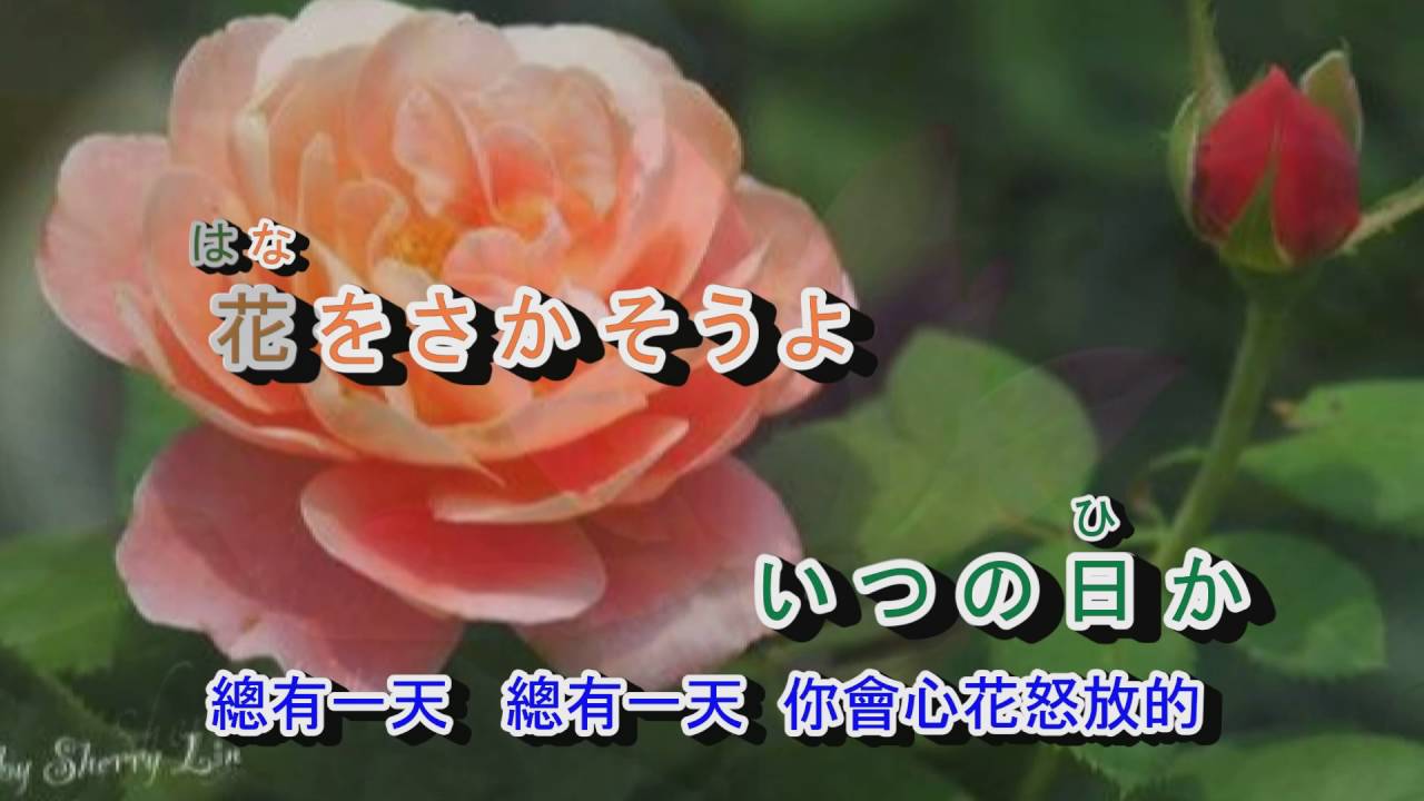 02-018   花---すべての人の心に花を***金嗓 940912  夏川里美 完整版