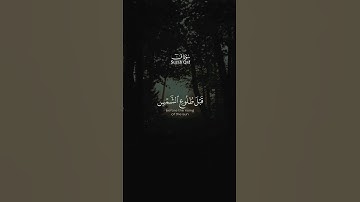 القارئ الشيخ محمد السعدني