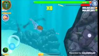 Hungry Shark Hi̇leli̇