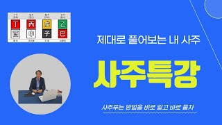 배우자운이 약한 관살혼잡사주(합살제관(合殺制館)되면 직업과 남자운이 참 좋지 않다
