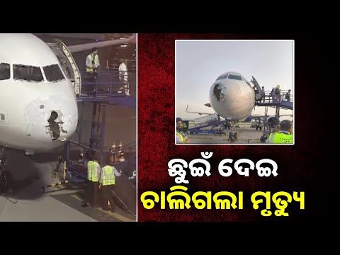ମଝି ଆକାଶରେ କୁଆପଥର ମାଡ! ଭାଙ୍ଗିଲା ବିମାନର ନୋଜ୍, ବର୍ତ୍ତିଗଲେ ୨୨୭ ଯାତ୍ରୀ  ||Knews Odisha