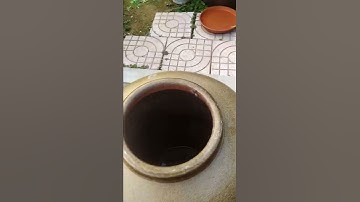 Xử lý chum bằng rượu trước khi ngâm