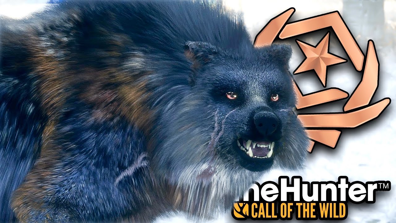 ОХОТА НА СУПЕРАГРЕССИВНОГО ЛЕГЕНДАРНОГО БАТТЛТХОРНА *ВЕЛИКОГО* СЕРОГО ВОЛКА В ИГРЕ HUNTER CALL OF...