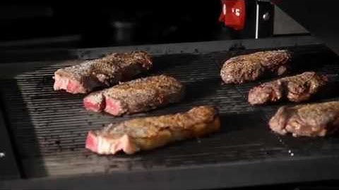 Vulcan V-Series Heavy-Duty Ranges | Versatility and Performance | Griddles, Charbroilers, and Fryers