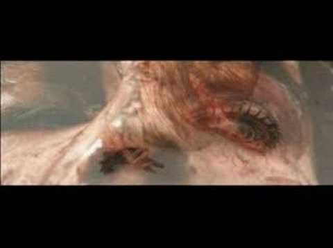 Magdalena Kania - Miłość Twoja nad górami