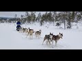 2 days Husky safari - Kota Husky - Finland