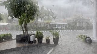 Super heavy rain and strong winds in Indonesian villages | fell asleep to the sound of the rain