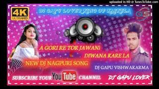 A GORI RE TOR JAWANI DIWANA KARE LA//DJ NAGPURI SONG DJ GAPU LOVER//KING OF KASKELA //SCHOOL PARA
