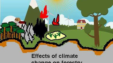Tutorial High School: First Scratch Program (Climate change)