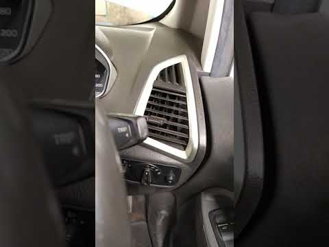 Ford EcoSport driver