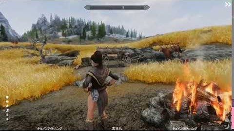 Headtracking and Animations