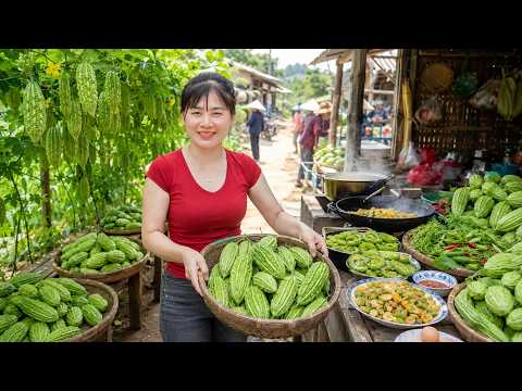 Timelapse - Bitter Melon Harvest | Market Selling & Cooking Farm Food