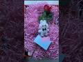 satisfying video #comment #comment #likeandsubscribe