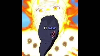 What Did Itachi Do With Shisuis Eyes? -