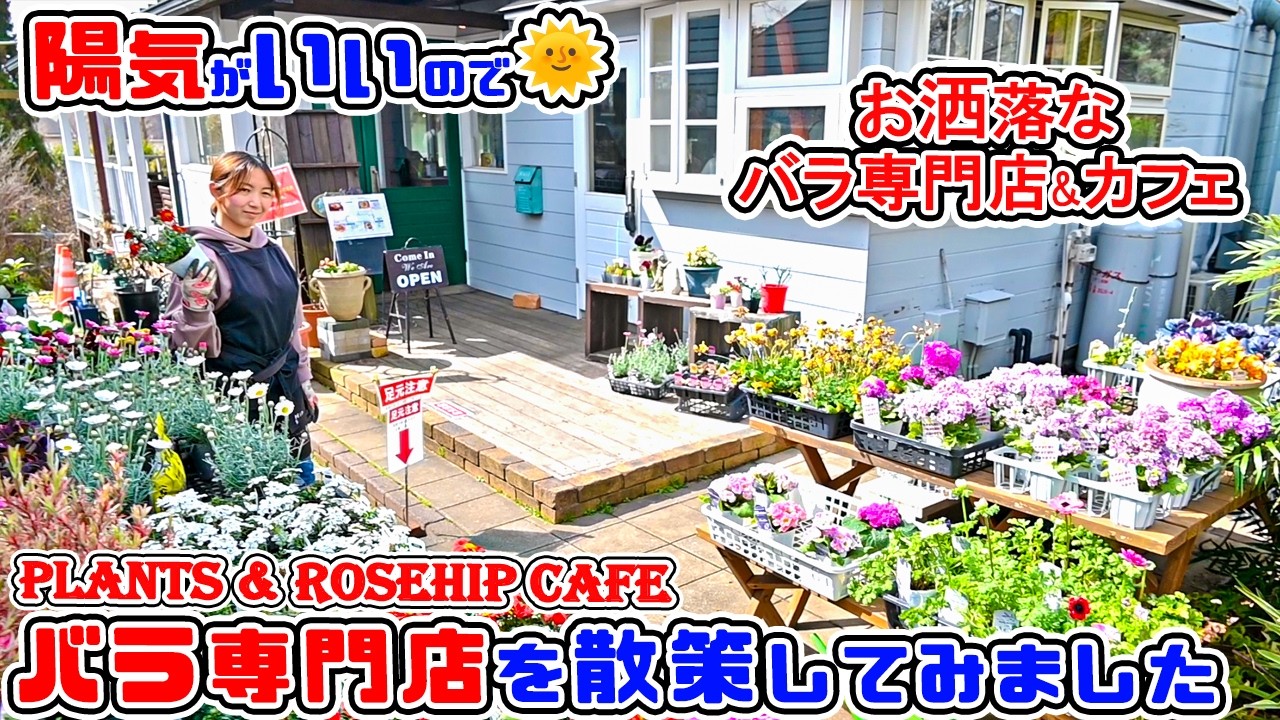 ぱぱさん専用 / flower／フラワー | rompers～ﾊﾟﾋﾟﾖﾝﾄﾞｯﾄﾛﾝﾊﾟｰｽ dot 60%OFF】papillon Floraison 邦楽
