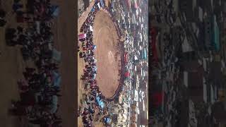 Corrida De Toros 2 En Challhuahuacho 2O16