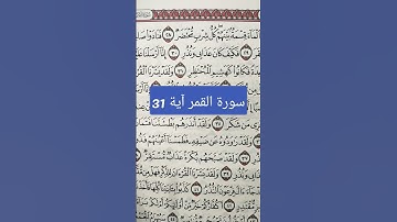 سورة القمر آية 31