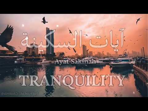 ايات السكينة لدفع القلق والهموم    