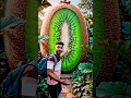 #world largest#kiwi fruits