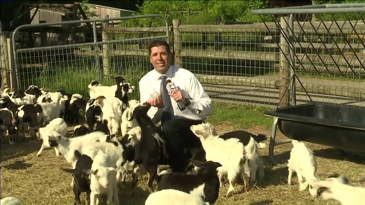 4 Must Stops in Overland Park