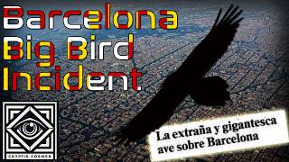 The Barcelona Big Bird Incident Of 1990