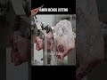 Jamón ibérico process #shorts #factory #asmr