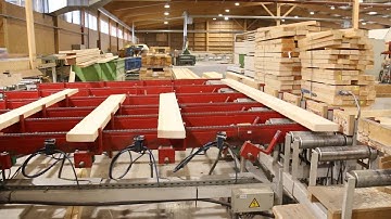 EasyScan + OptiCut 450 chop - construction timber - Stabilame