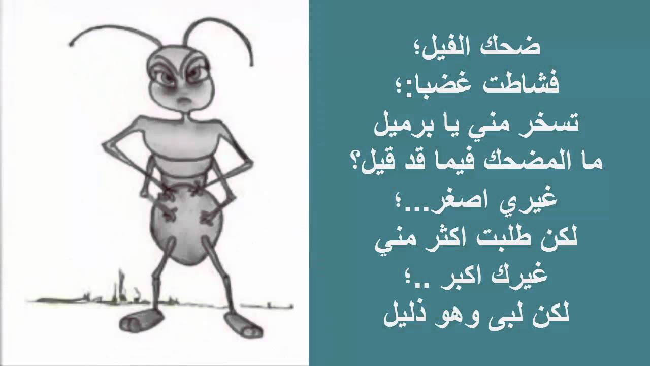 قصيدة النملة و الفيل للشاعر الكبير أحمد مطر Youtube