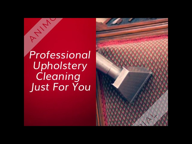 Three Kings Upholstery Cleaning Dublin - 1800 911 655